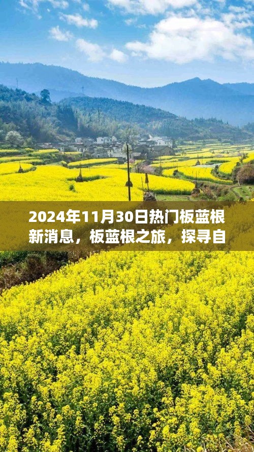 板蓝根之旅，探寻自然美景与心灵静谧的奇妙之旅（最新消息）