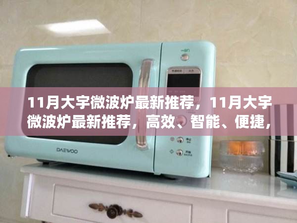 11月大宇微波炉最新推荐，高效智能便捷，为生活加温