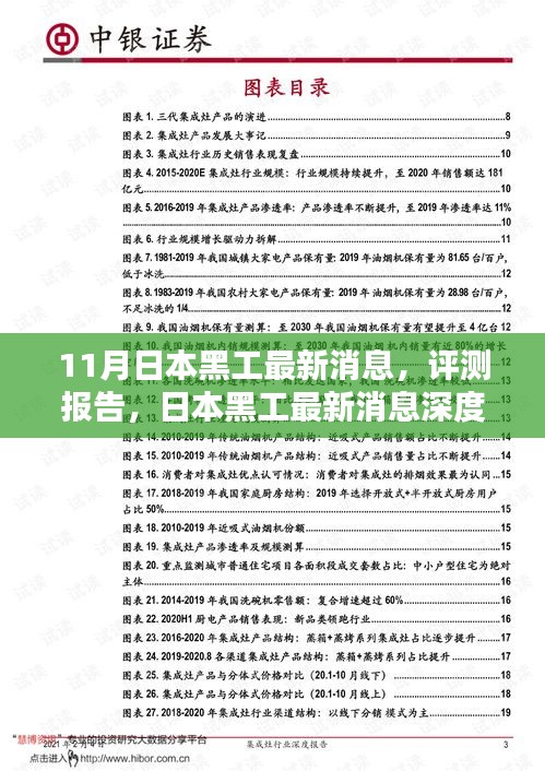 日本黑工最新消息深度解析，特性、体验、竞品对比及用户群体全面分析