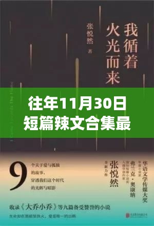 往年11月30日短篇辣文合集最新章节列表及获取阅读全攻略——适合初学者与进阶用户通用