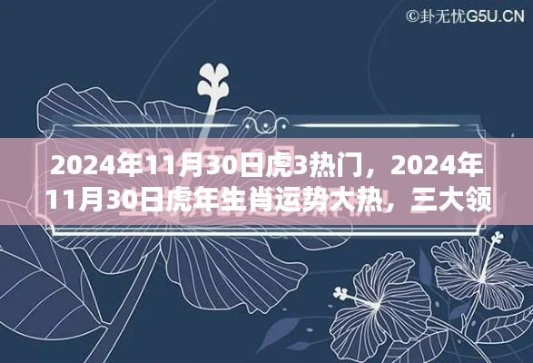 虎年生肖运势大热，三大领域成焦点，2024年11月30日深度解析