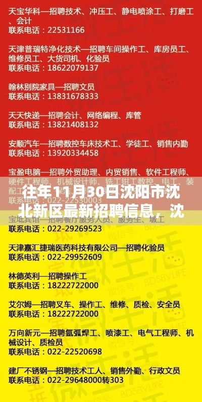 沈阳市沈北新区最新招聘信息揭秘，求职黄金日概览