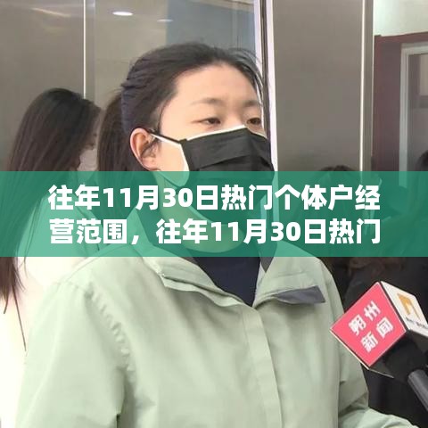 往年11月30日个体户热门经营范围解析与观点阐述
