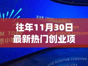 昔日同窗聚首，创业梦想照亮十一月，最新热门创业项目解析