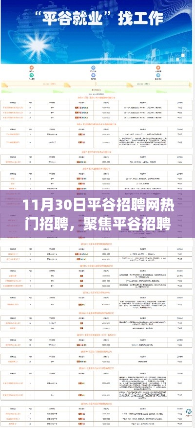11月30日平谷招聘网热门招聘解析，趋势与观点深度聚焦