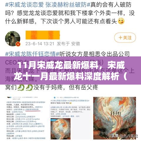 11月宋威龙最新爆料深度解析，聚焦要点一网打尽