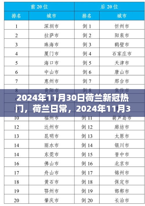 荷兰新冠奇遇与暖心友情纪实，日常中的非凡时刻（2024年11月30日）
