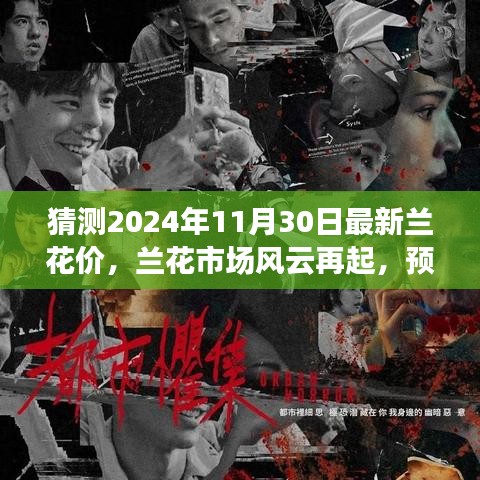 2024年兰花市场风云再起，预测兰花新纪元价格走向及最新兰花价格猜测