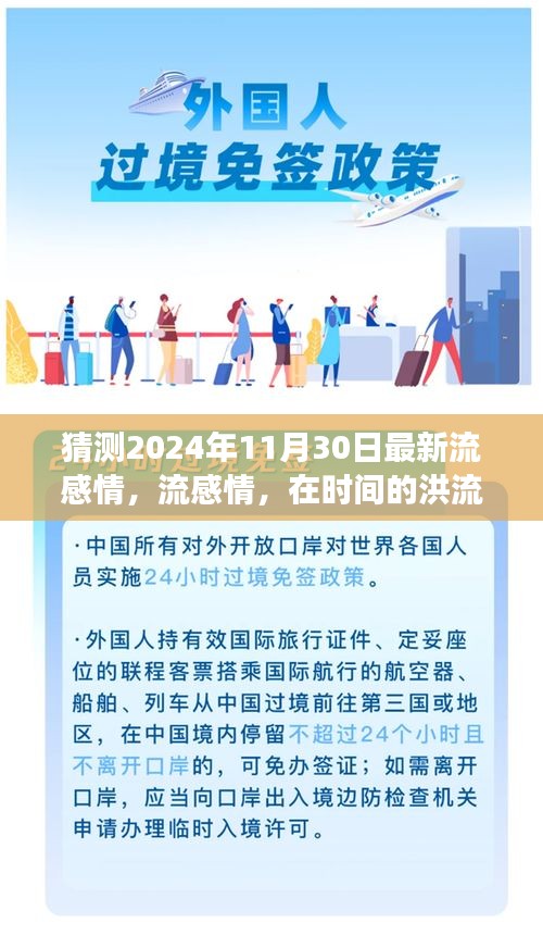 以2024年11月30日为观察点，流感情趋势探寻与未来情感展望