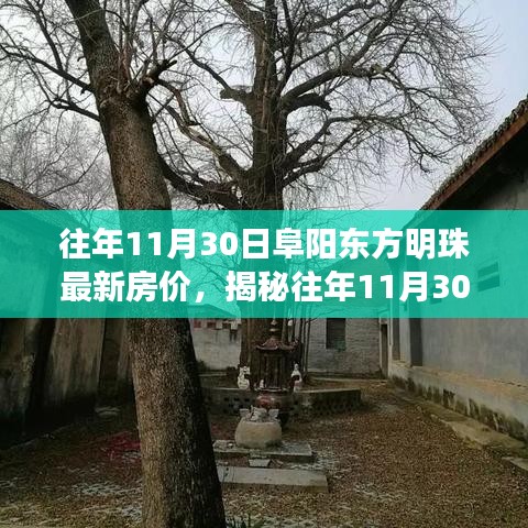 揭秘往年11月30日阜阳东方明珠最新房价，楼市动态与购房指南全解析