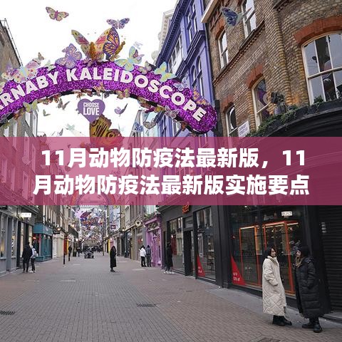 11月动物防疫法最新版详解，实施要点与案例分析
