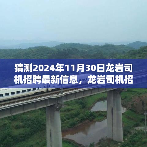 2024年龙岩司机招聘最新信息及预测指南，适合初学者与进阶用户参考
