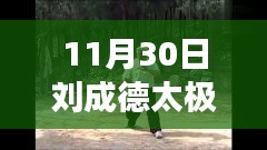 揭秘刘成德太极拳魅力，最新视频赏析与深度解读（附链接）