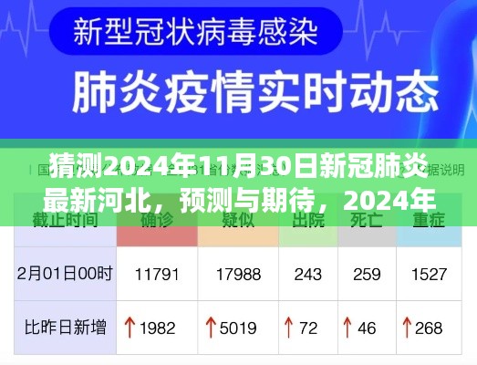 2024年河北新冠肺炎最新动态预测与期待