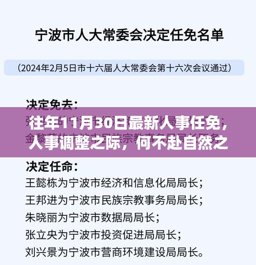 人事调整之际的心灵自然之旅，人事任免与奇妙启程的交汇点