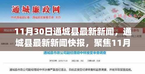 11月30日通城县发展亮点聚焦，最新新闻与发展快报