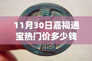 嘉祠通宝全面评测，11月30日热门价格及特性深度解析
