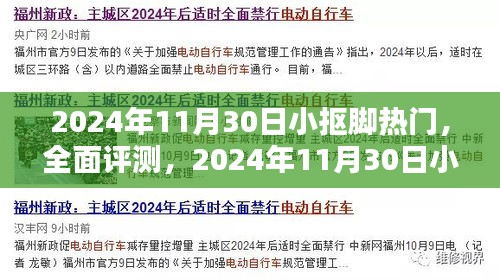 2024年11月30日小抠脚热门产品全面评测与深度解析