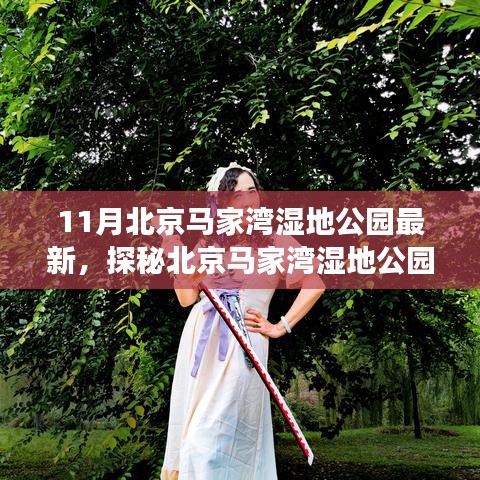 探秘北京马家湾湿地公园，11月游玩全攻略与最新动态