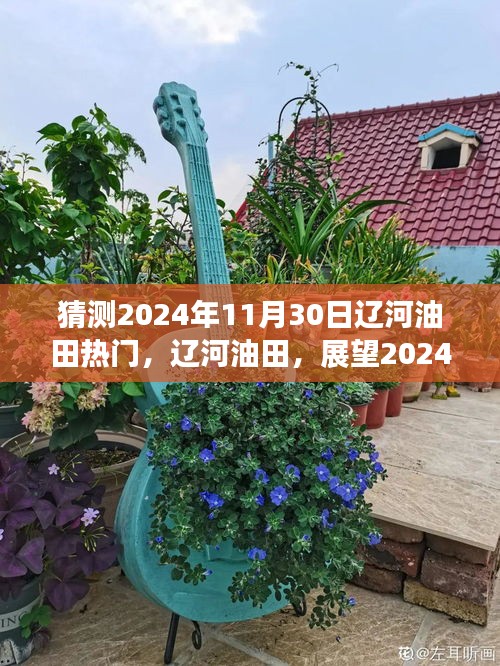 辽河油田未来展望，揭秘辽河油田在2024年11月30日的繁荣盛景