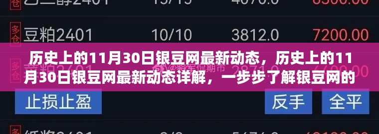 历史上的11月30日银豆网发展回顾与最新动态揭秘，逐步了解银豆网的发展与现状