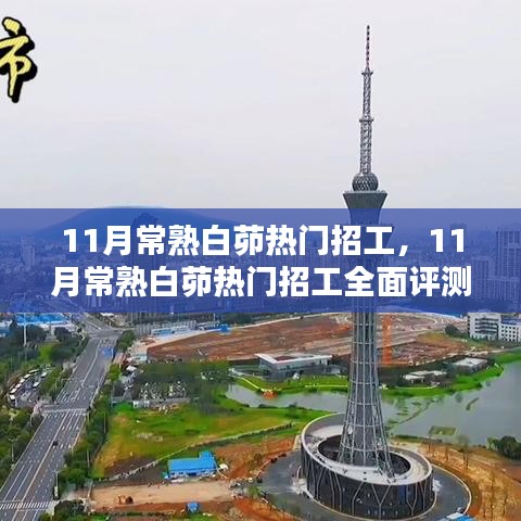 11月常熟白茆热门招工全面介绍与评测