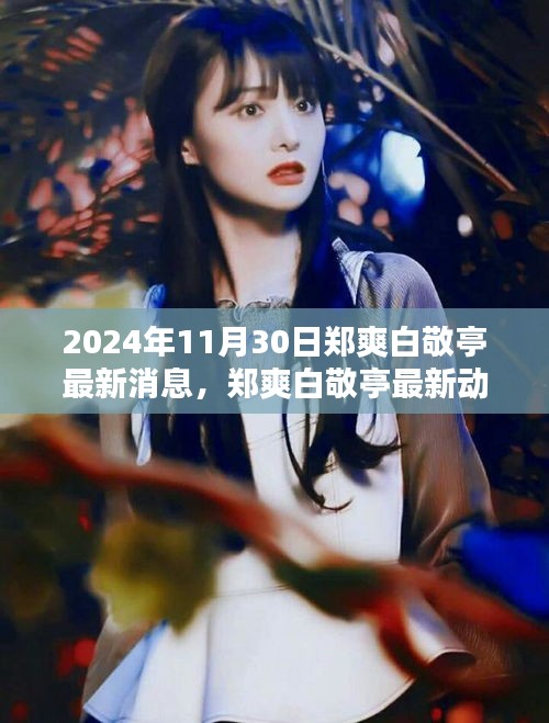 郑爽白敬亭最新动态揭秘，深度解析与竞品对比，2024年最新消息速递