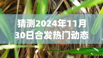 揭秘未来之旅，探寻自然秘境，心灵之旅启程在即 —— 预测合发热门旅游动态 2024年合发热门动态展望