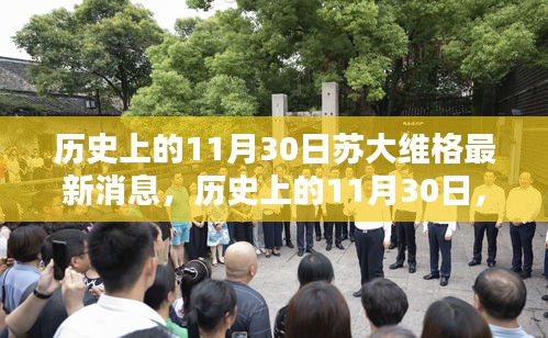 历史上的11月30日，苏大维格最新消息及观点深度探析