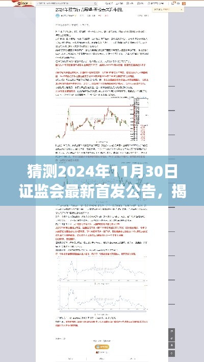 揭秘未来，证监会首发公告预测解读与步骤指南（2024年11月版）