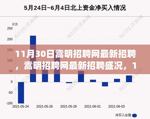 嵩明招聘网最新招聘盛况及行业新动向，11月30日深度解析