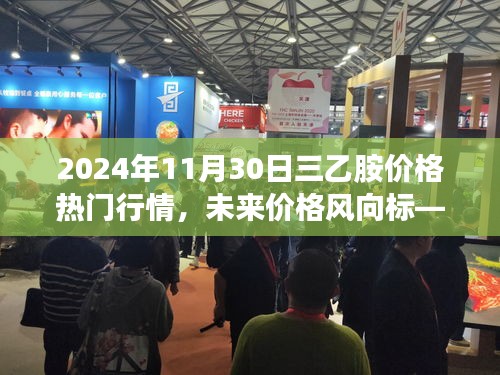 揭秘三乙胺市场热门行情，未来价格趋势与高科技产品体验展望（2024年11月行情）