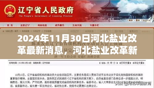 河北盐业改革最新动态，开启新篇章，学习变化，自信铸就未来（2024年11月30日）