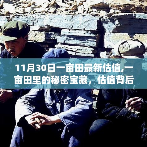 一亩田最新估值揭秘，宝藏背后的暖心故事