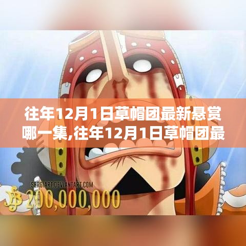 深入解析，草帽团最新悬赏集数探讨与观点阐述（集数详解）