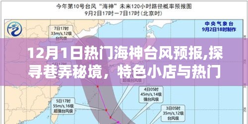 特色小店与海神台风的奇妙邂逅，12月1日热门预报解读