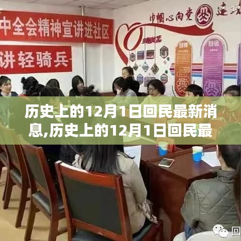 历史上的12月1日回民动态概览，最新消息与动态概览