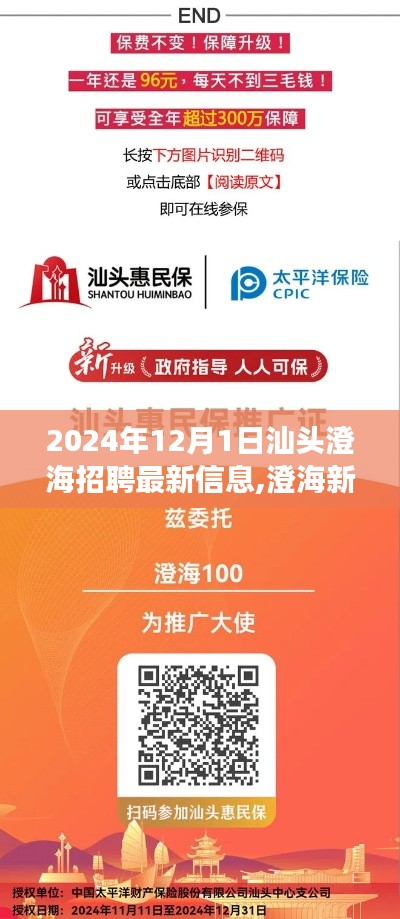 汕头澄海招聘最新信息，一场温馨的招聘之旅开启于澄海新篇章，2024年12月1日