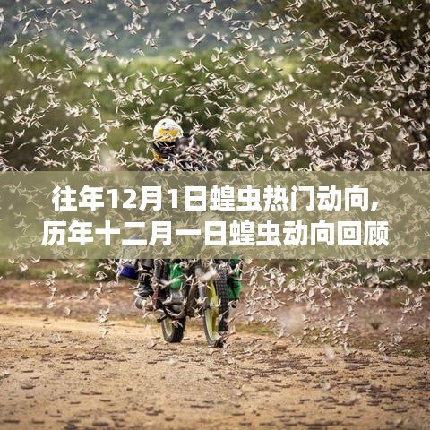 影响分析 第4页