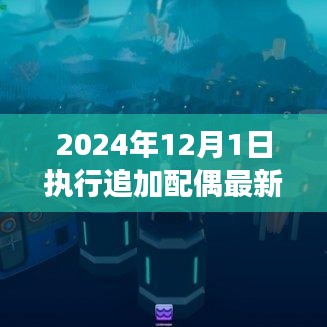 重磅新规揭秘，深入了解配偶追加规定的变革与影响（2024年执行）