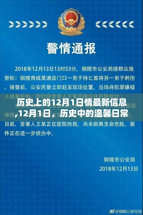12月1日的历史温馨日常与家的情感纽带