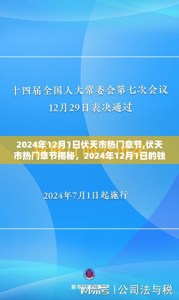 揭秘伏天市热门章节的独特魅力，2024年12月1日深度剖析