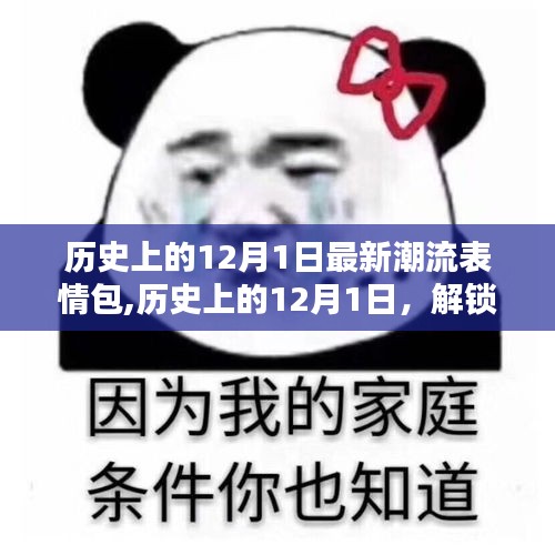 历史上的12月1日潮流表情包回顾，小红书带你重温时尚记忆，解锁最新表情包潮流趋势