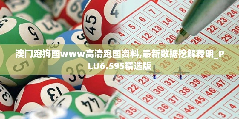 澳门跑狗图www高清跑图资料,最新数据挖解释明_PLU6.595精选版