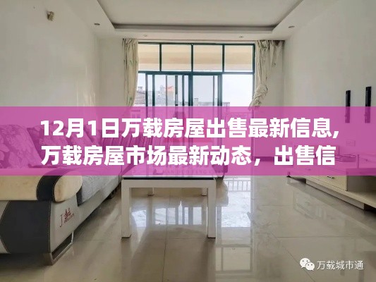 万载房屋市场最新动态解析，出售信息与个人立场探讨