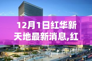 红华新天地12月1日探秘之旅，追寻内心宁静与自然之美