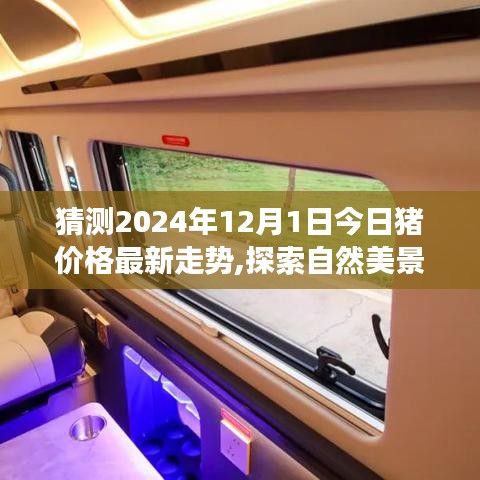 探索自然美景之旅，预测猪价格走势，寻找内心的平和与宁静