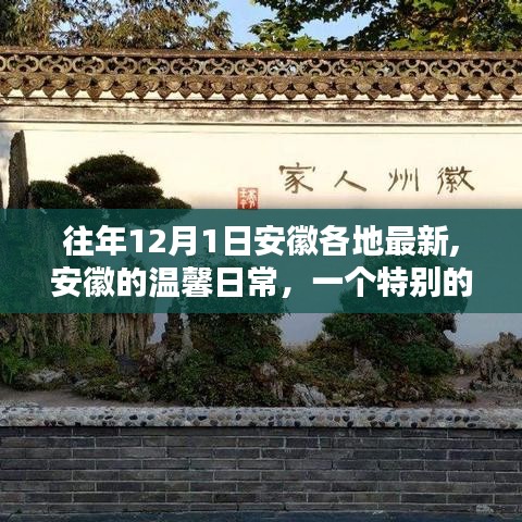 安徽各地温馨日常，特别的十二月一日记忆重现