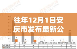 往年12月1日安庆市最新公示发布及深度解析与评测报告