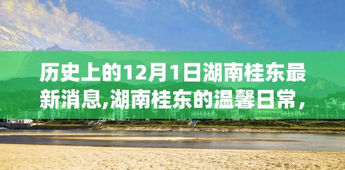 湖南桂东，友谊与陪伴的温馨故事——12月1日最新消息纪实